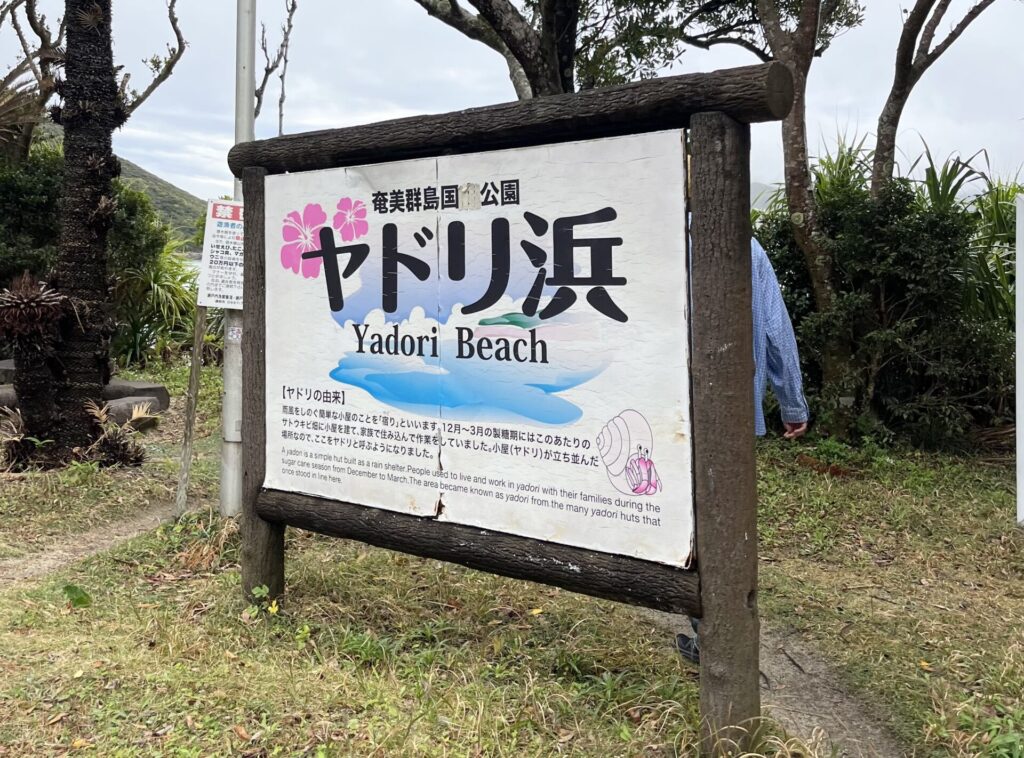 奄美大島　ヤドリ浜