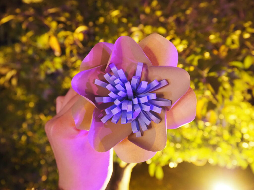 NAKED花みくじ