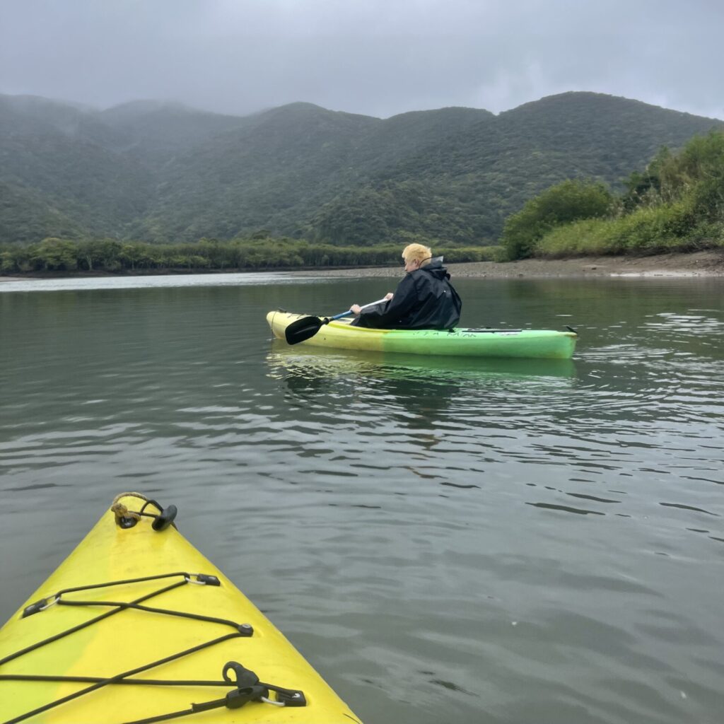 奄美大島 マングローブカヌー カップル