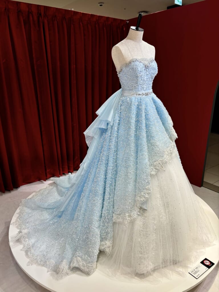 本田仁美の卒業ドレス　全身　横