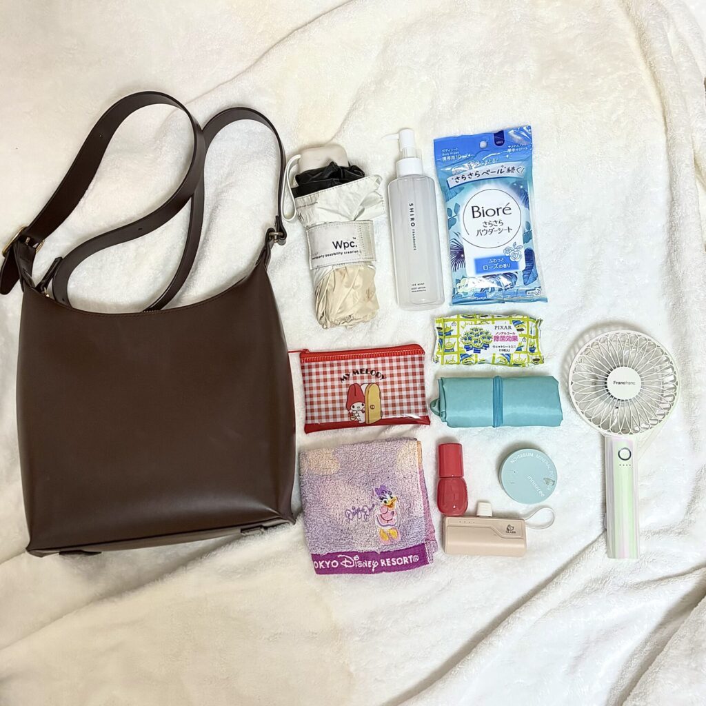夏のディズニーに持っていくべきもの