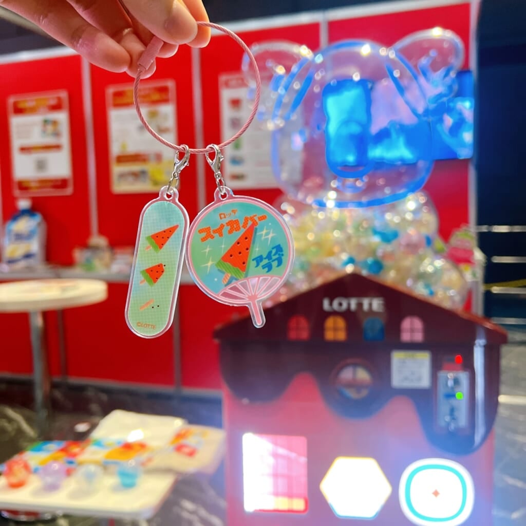 ロッテガチャガチャ