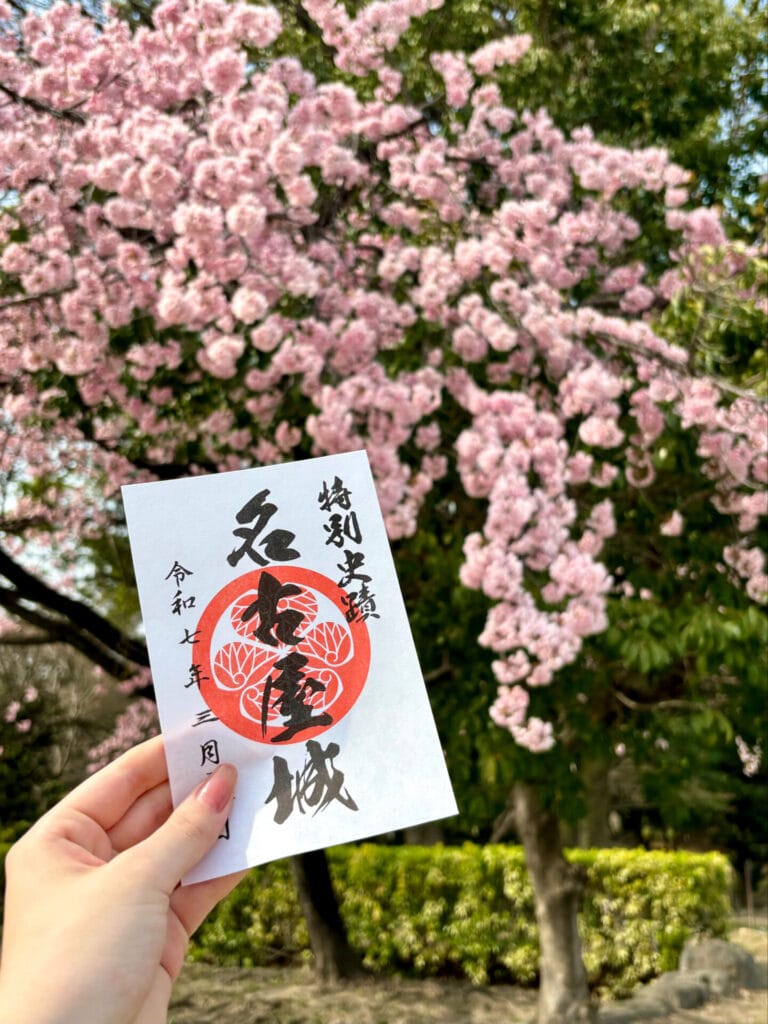 名古屋城の桜と御城印