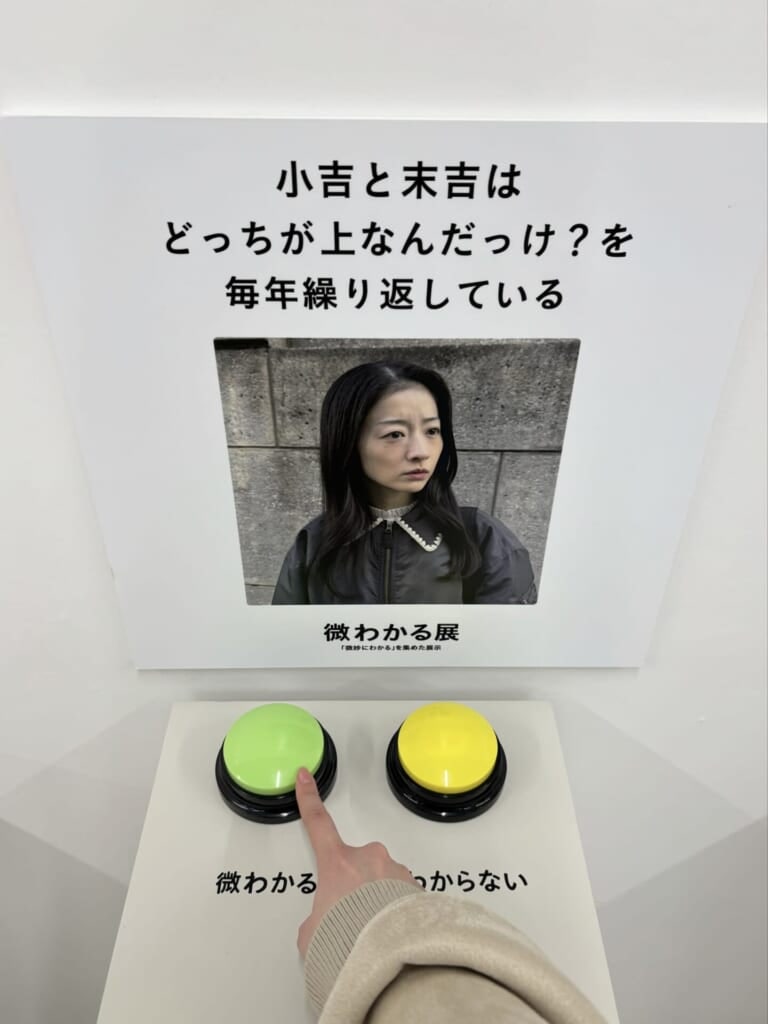 「微わかる」「微わからない」を選択するボタン