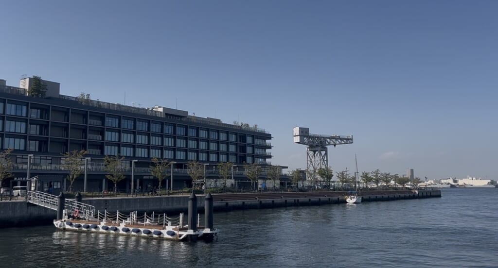 ハンマーヘッド