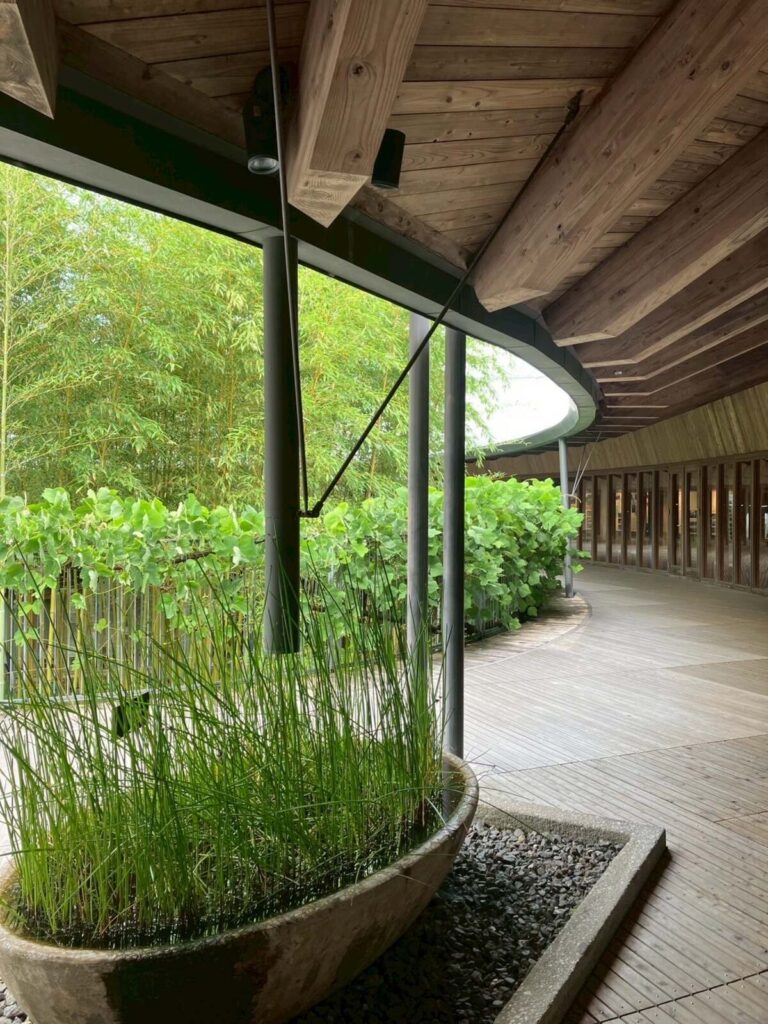 「高知県立牧野植物園」「園内の様子」