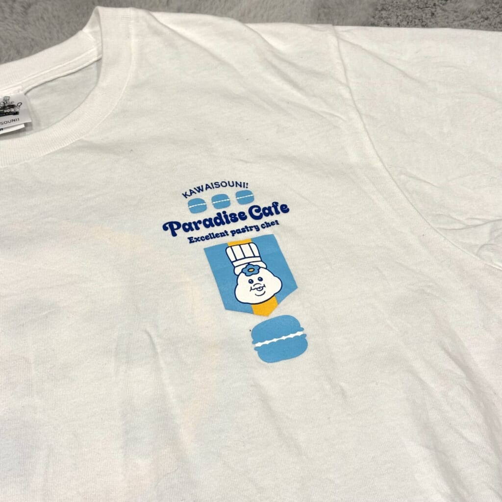 んぽちゃむTシャツ表面