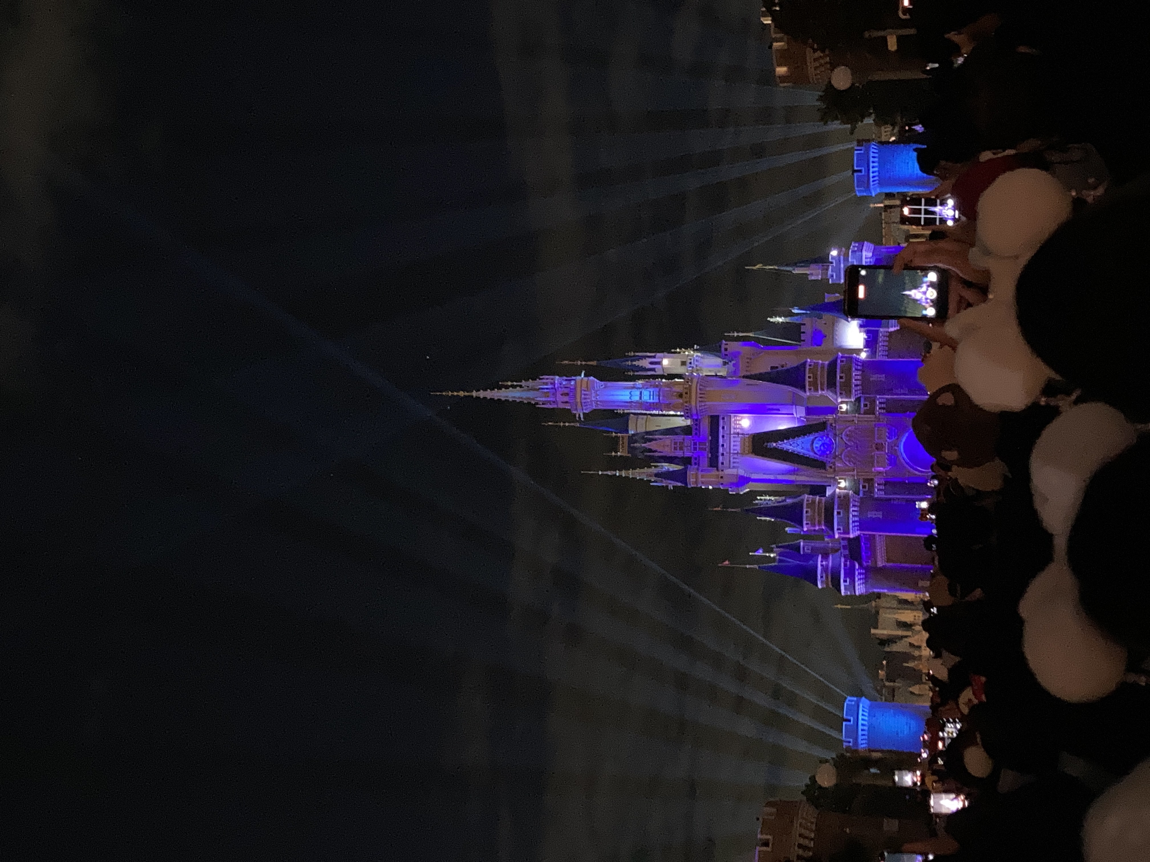 夜のシンデレラ城正面