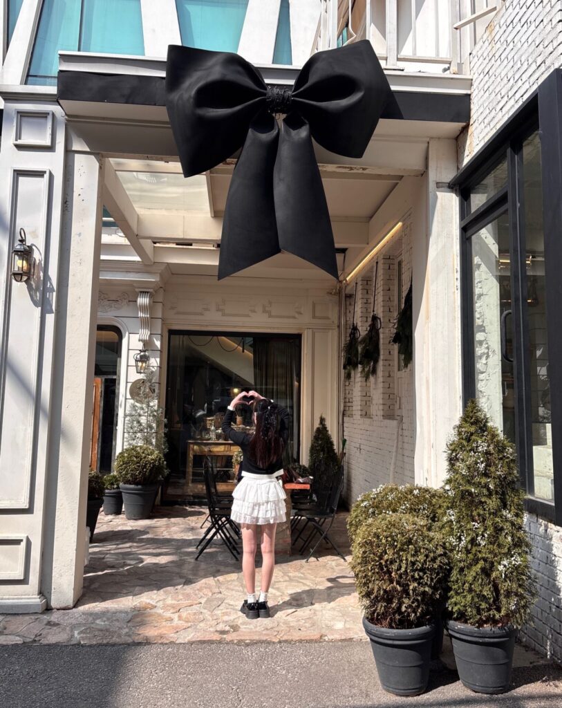 大学生エディターズ 韓国旅行 狎鴎亭