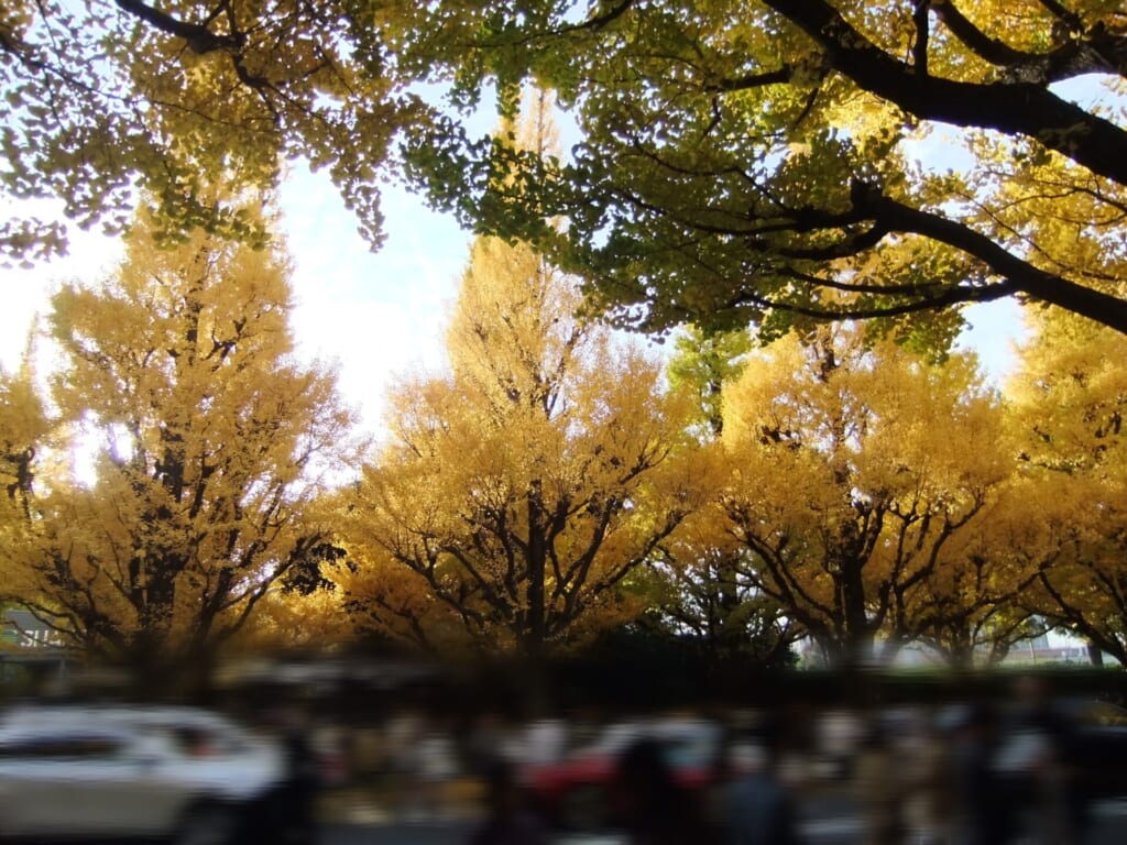 デジカメで撮った写真