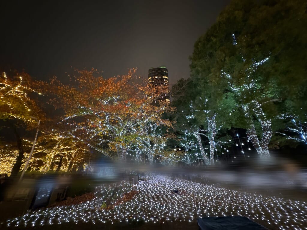 イルミネーション