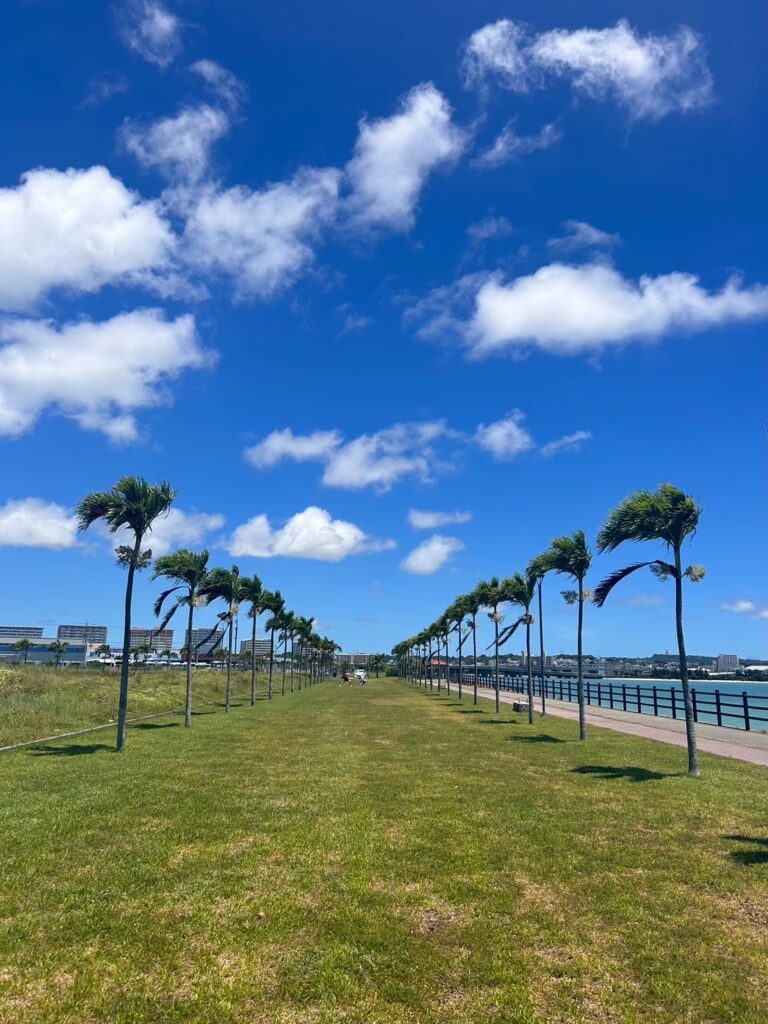 ヤシの木ロード