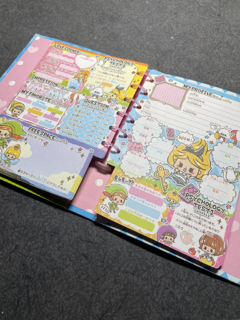 プロフ帳 項目 平成 女児 アイテム