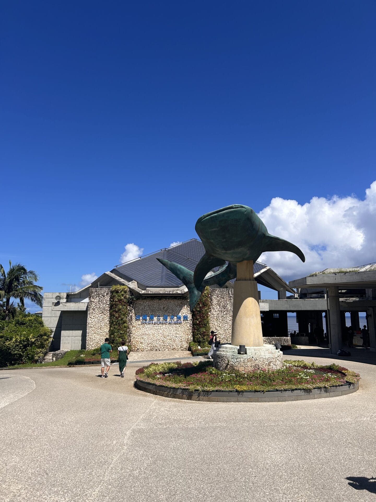 美ら海水族館入口