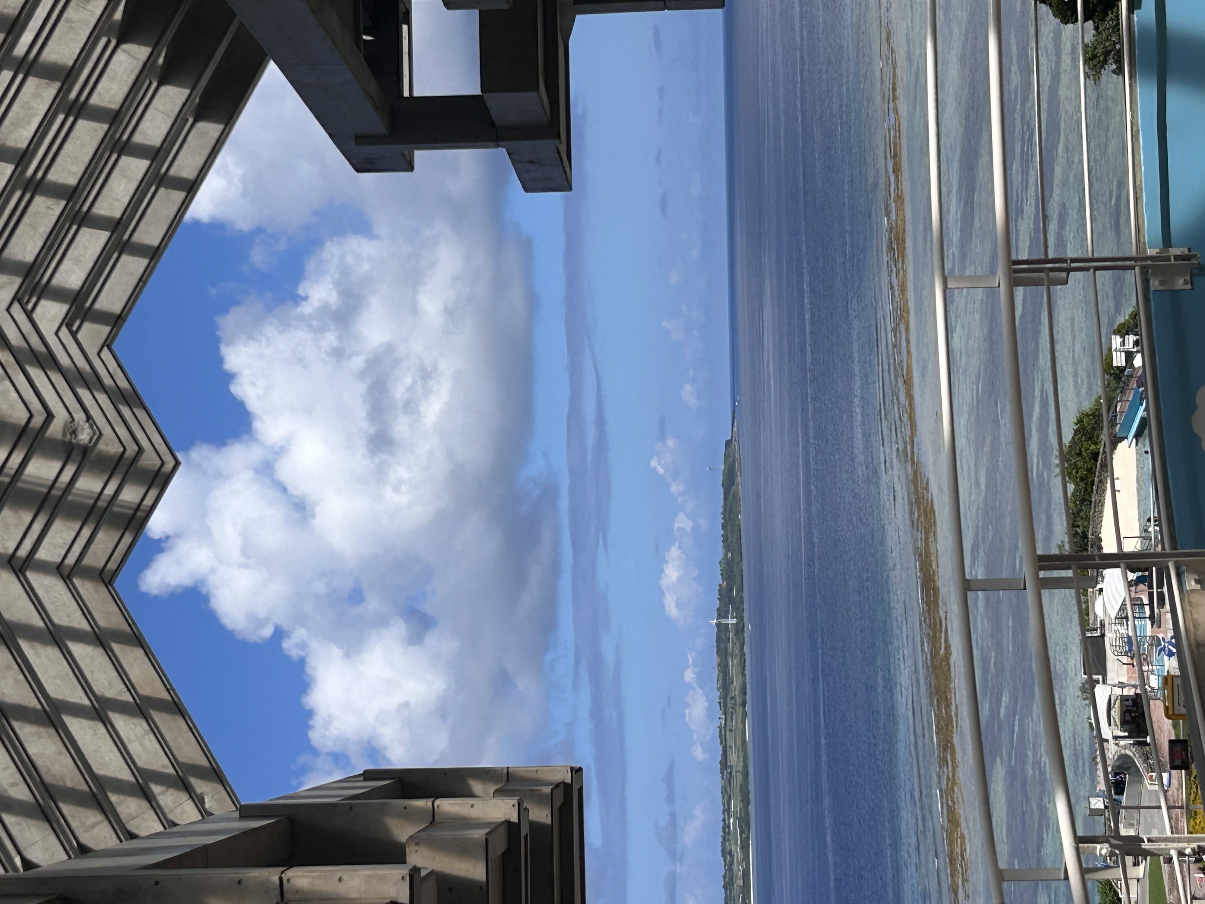 美ら海水族館からみえる海