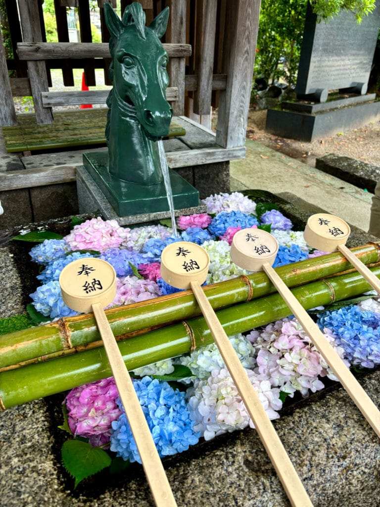 アジサイが敷き詰められた手水舎