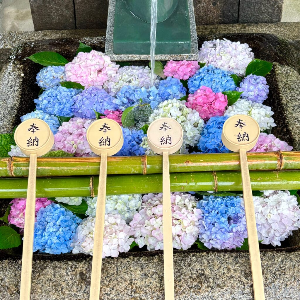 アジサイが敷き詰められた手水舎
