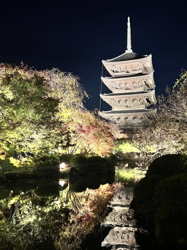 京都東寺ライトアップ