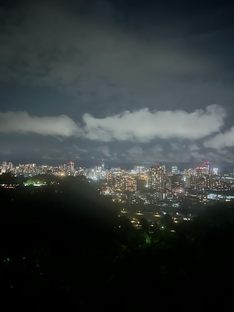 仙台城跡からの夜景