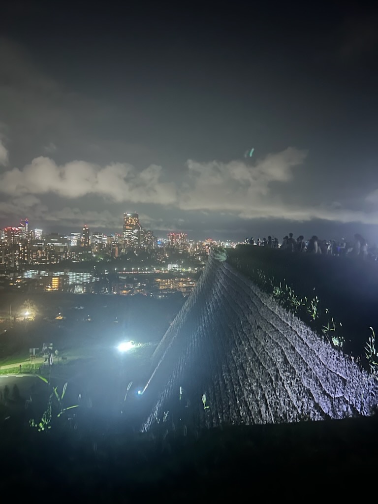 仙台城跡からの夜景