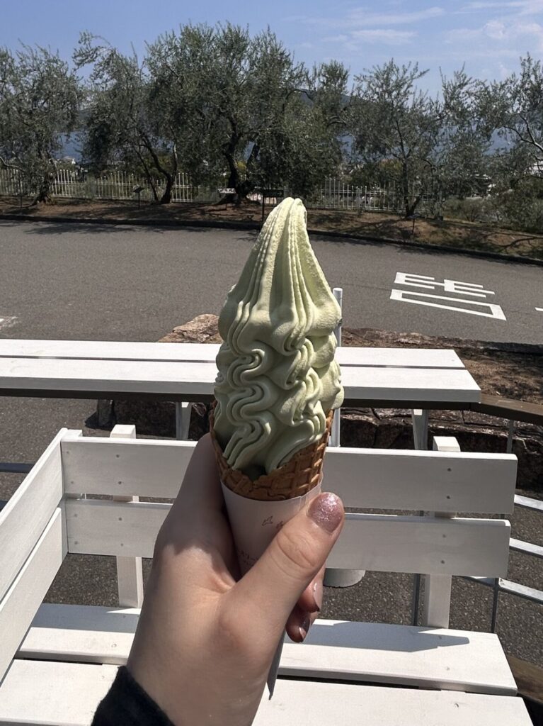 オリーブソフト