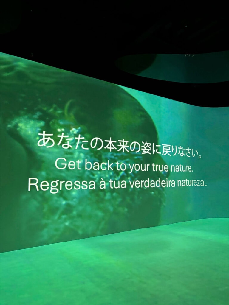 ポルトガルパビリオンのスクリーン