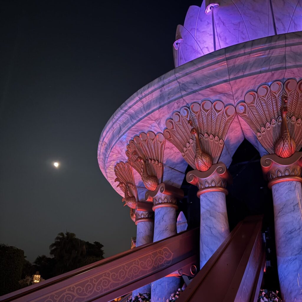 ジャスミンのフライングカーペットの写真