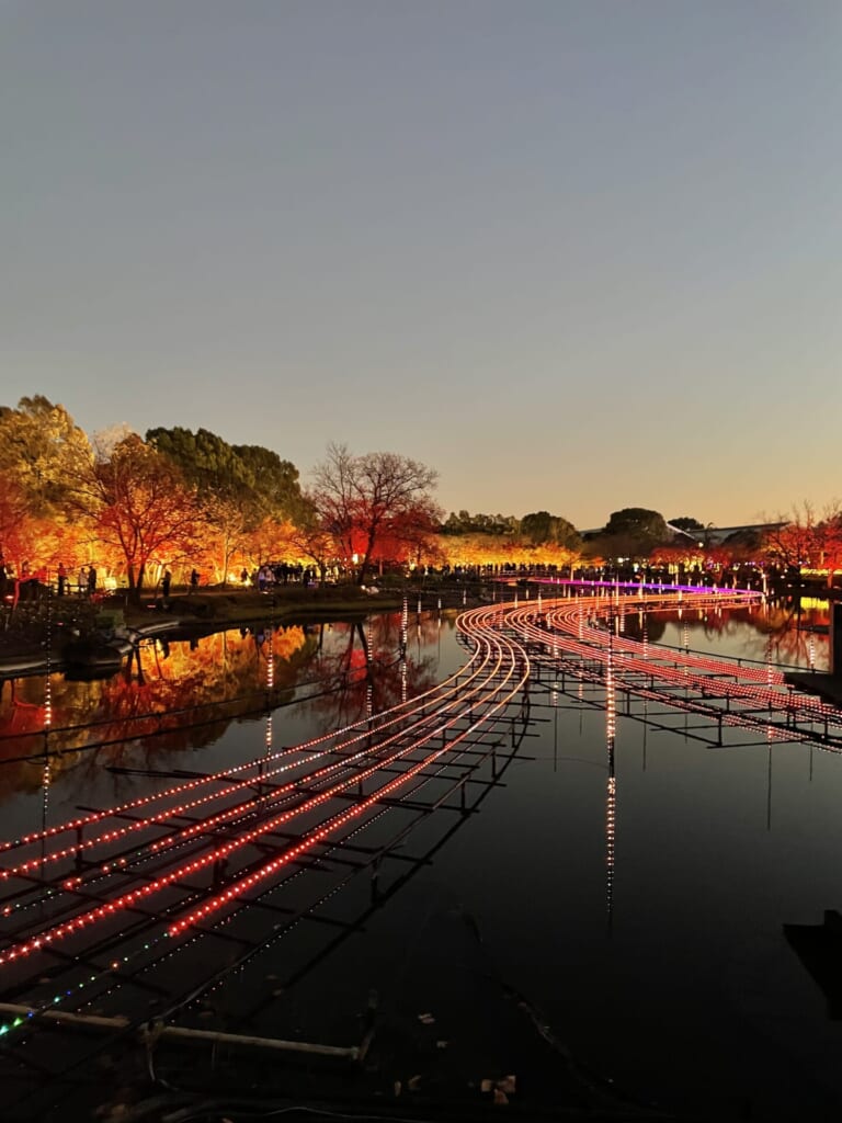 なばなの里　イルミネーション　水上　光の大河