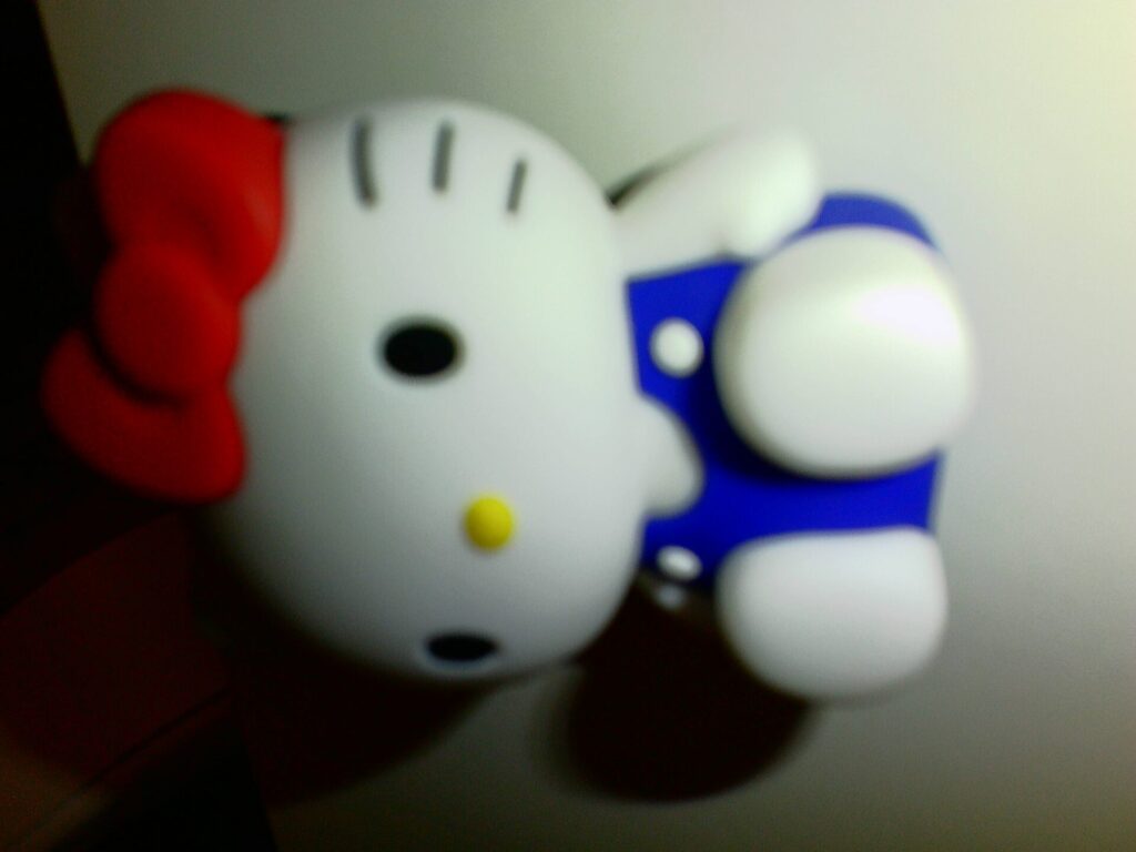 フラッシュ撮影写真