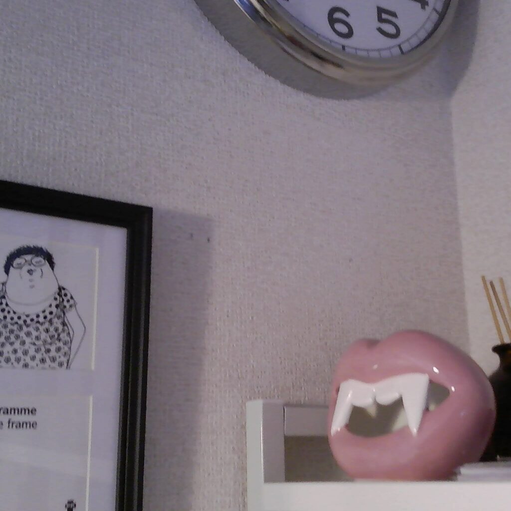 解像度低めの写真