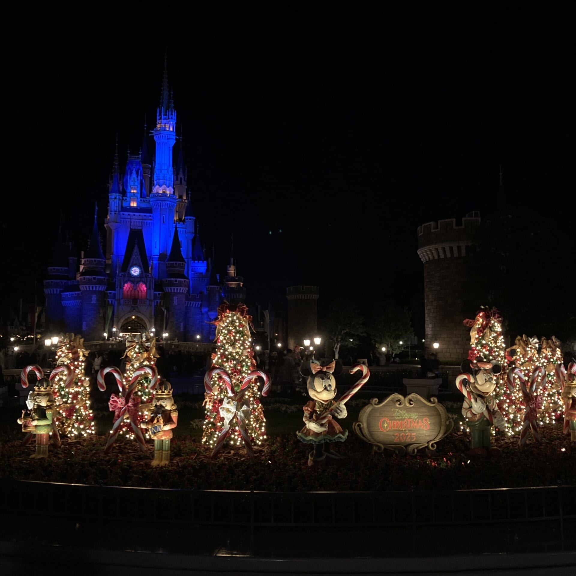 夜のディズニー・クリスマスデコレーションとシンデレラ城