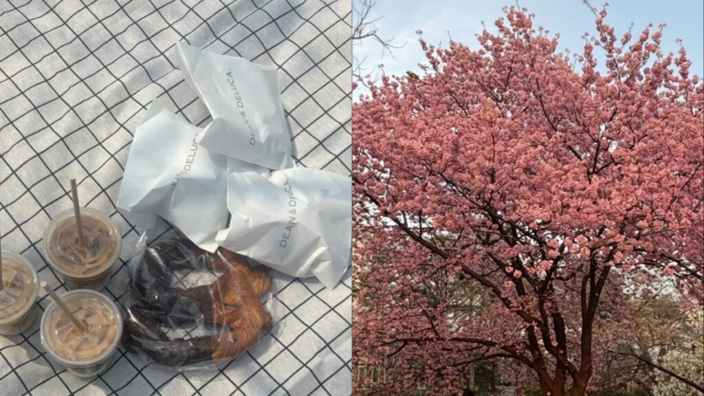 飲み物に合う食べ物紹介