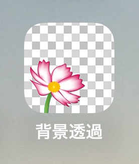 背景透過アプリの画像。花が描いてある。