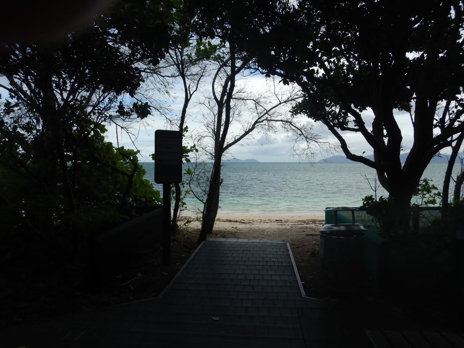 草木の奥に海が広がる写真