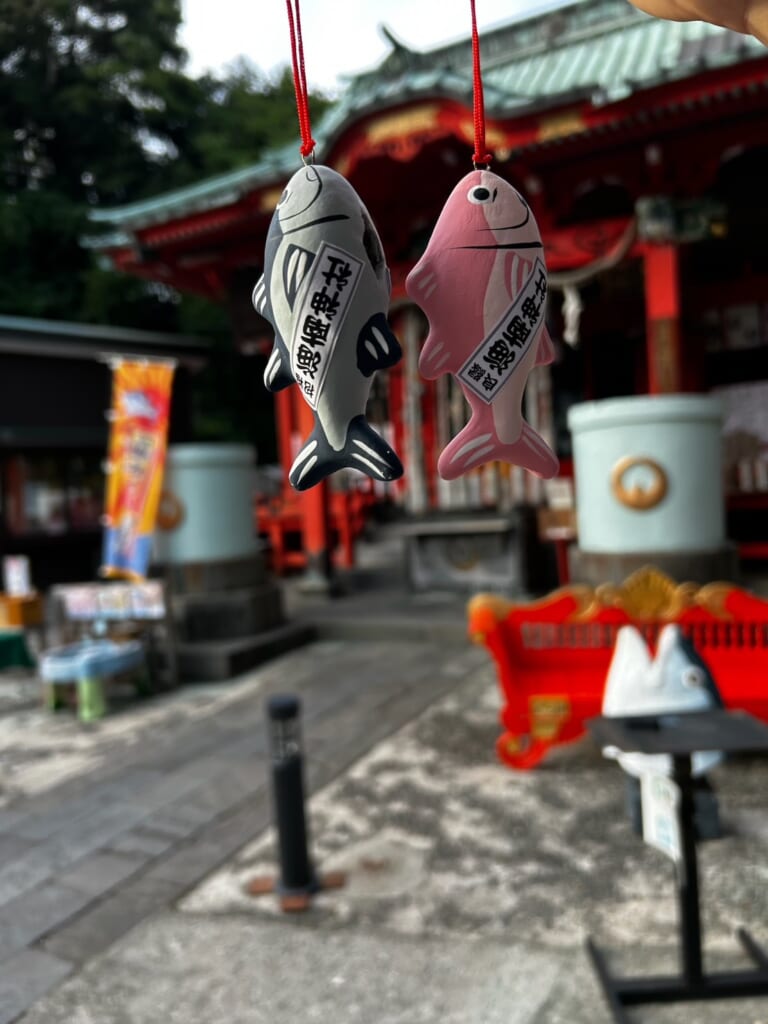 海南神社 おみくじ