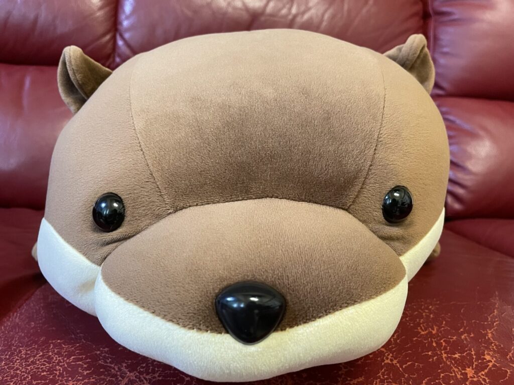 八景島シーパラダイス限定のくじ引きで当たったカワウソ2等のぬいぐるみを正面から撮影した画像です。