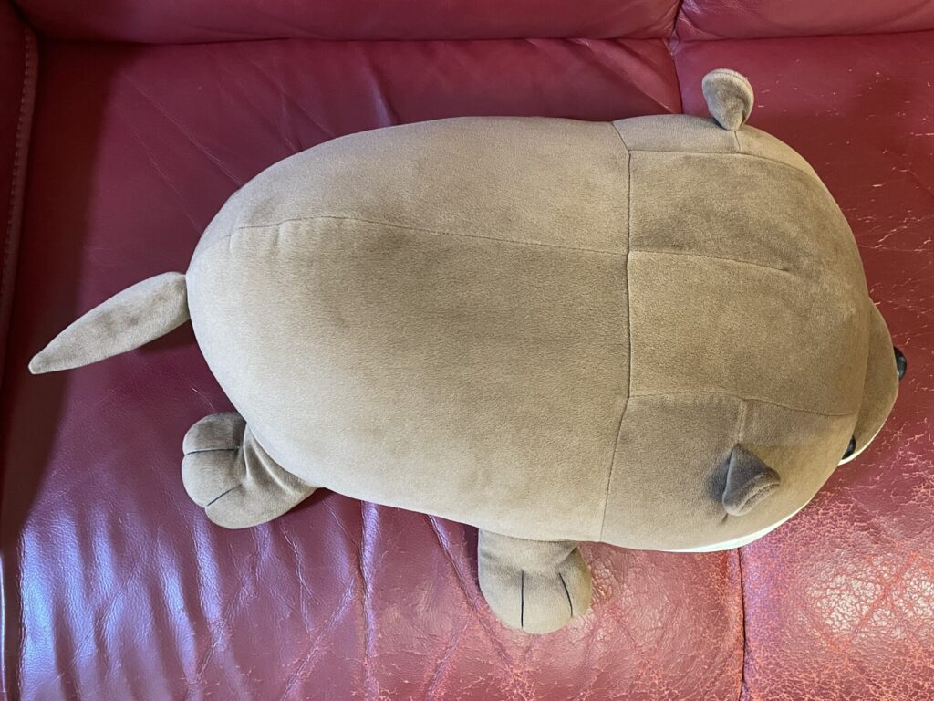 八景島シーパラダイス限定のくじ引きで当たったカワウソ2等のぬいぐるみを真上から撮影した画像です。