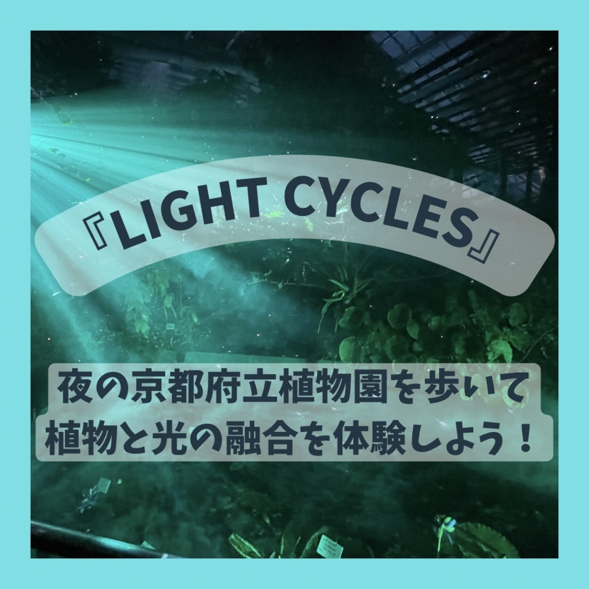 【ぜひ体験してほしい】夜の植物園を歩く『LIGHT CYCLES』