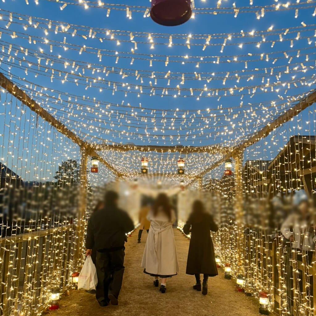 入場してすぐあるイルミネーションルーフ