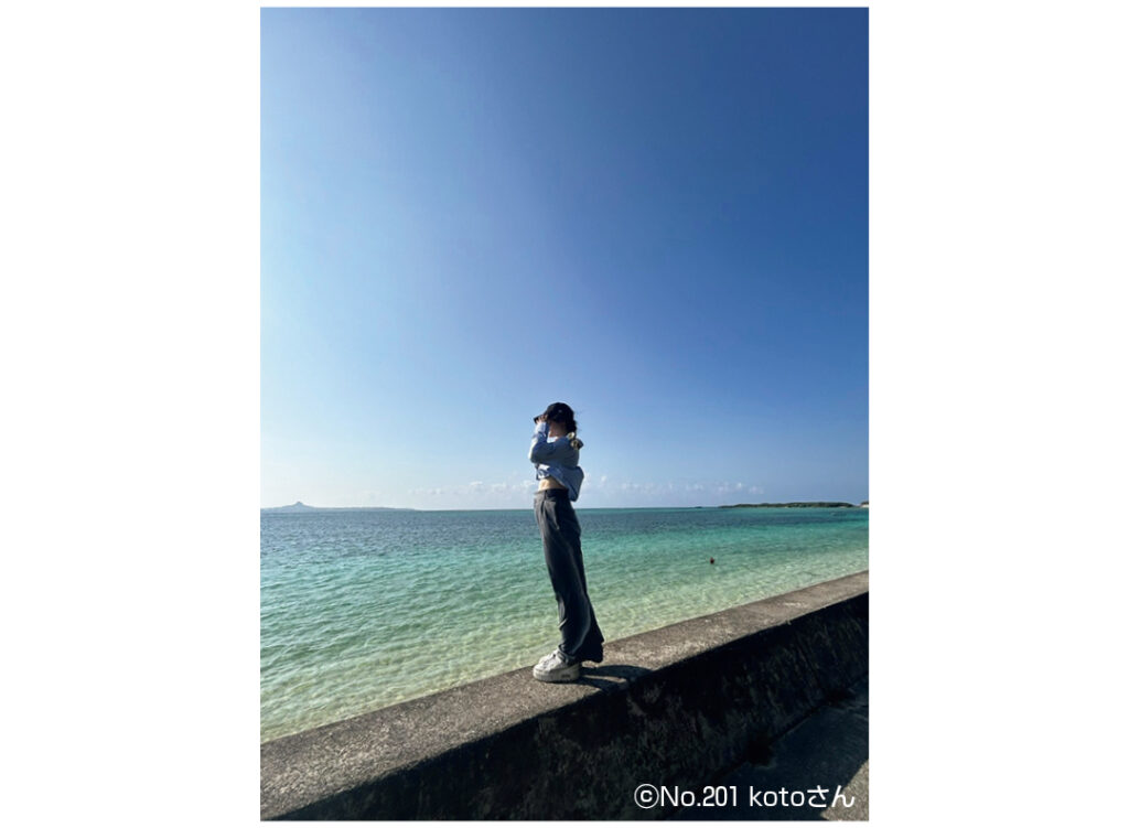 ⓒNo.201 kotoさんの作品