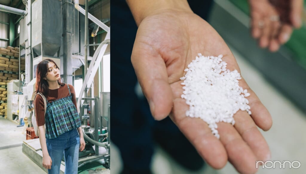 精米所を歩く紺野彩夏と、精米された米をのせた手のひら