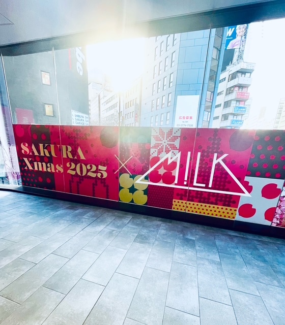 イルミ紹介　２