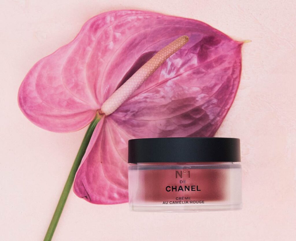【ベストコスメ】乳液&クリーム大賞1位は、シャネルスムース クリーム N°1 ドゥ シャネル【2025上半期べスコス】
