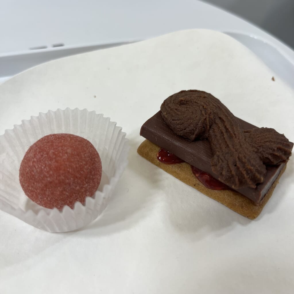 ほろりガナッシュ〈桜薫りいちご〉 マダガスカルカカオのテリーヌサンド サロン・デュ・ショコラ 東京