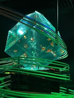 夏のおすすめスポット