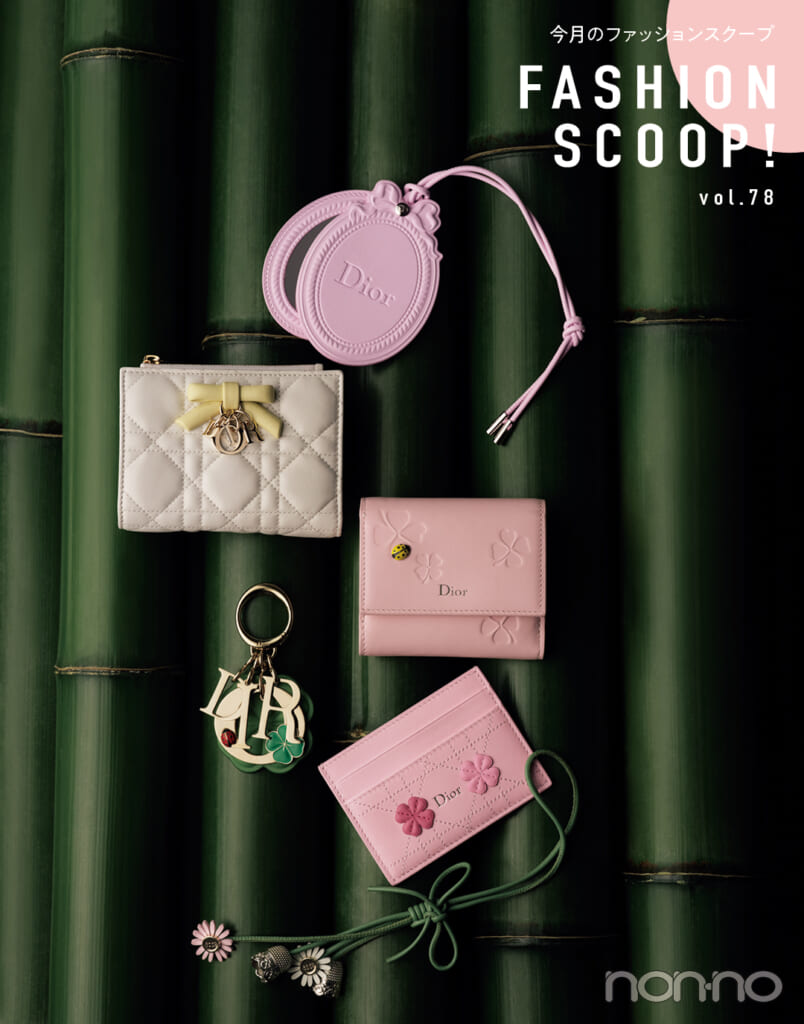 Diorのスモールレザーグッズとチャームのコレクション