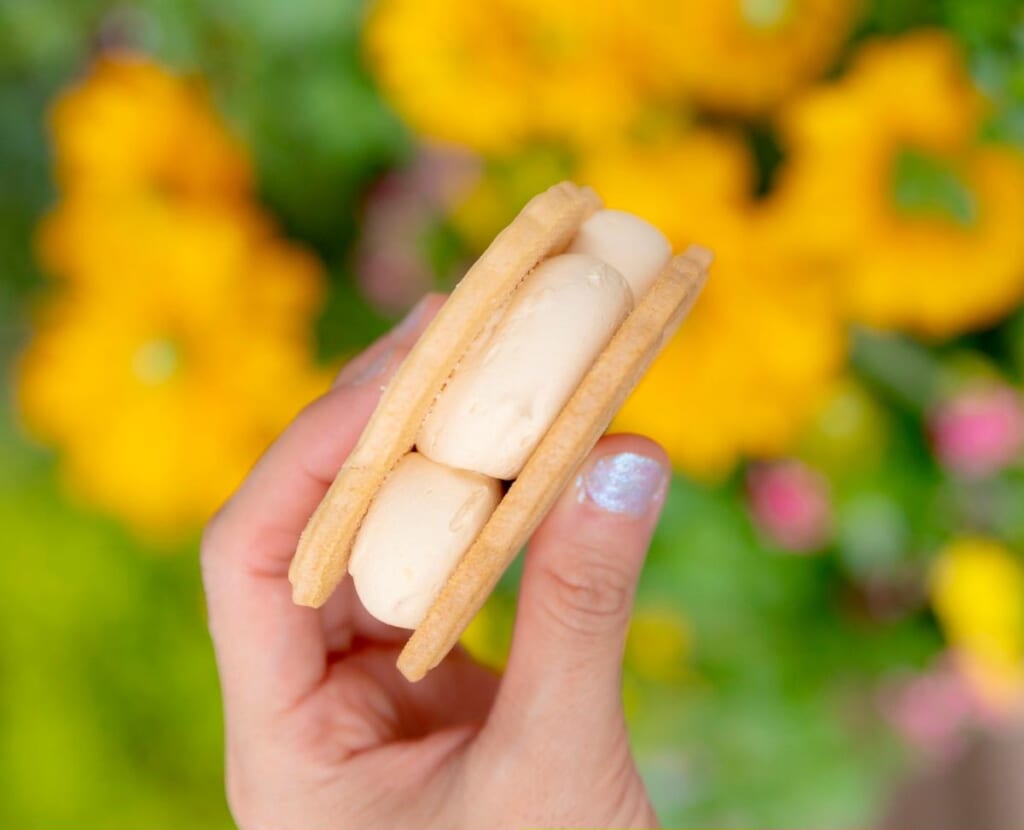 ダッフィークッキーサンド　ホイップクリームとソース