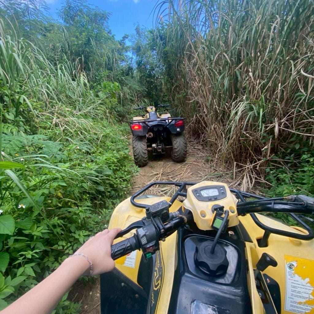 実際に体験したバギー
