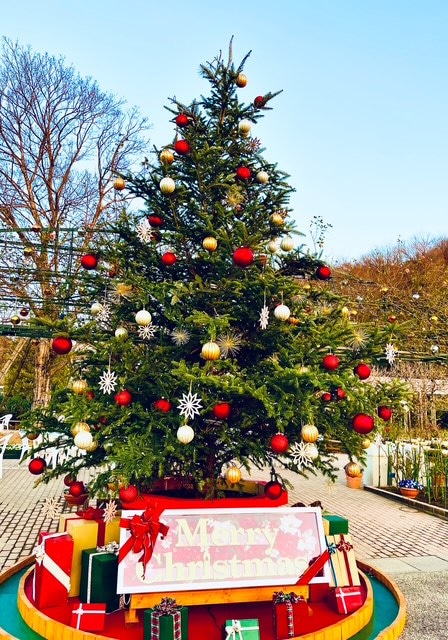 おすすめスポット　１