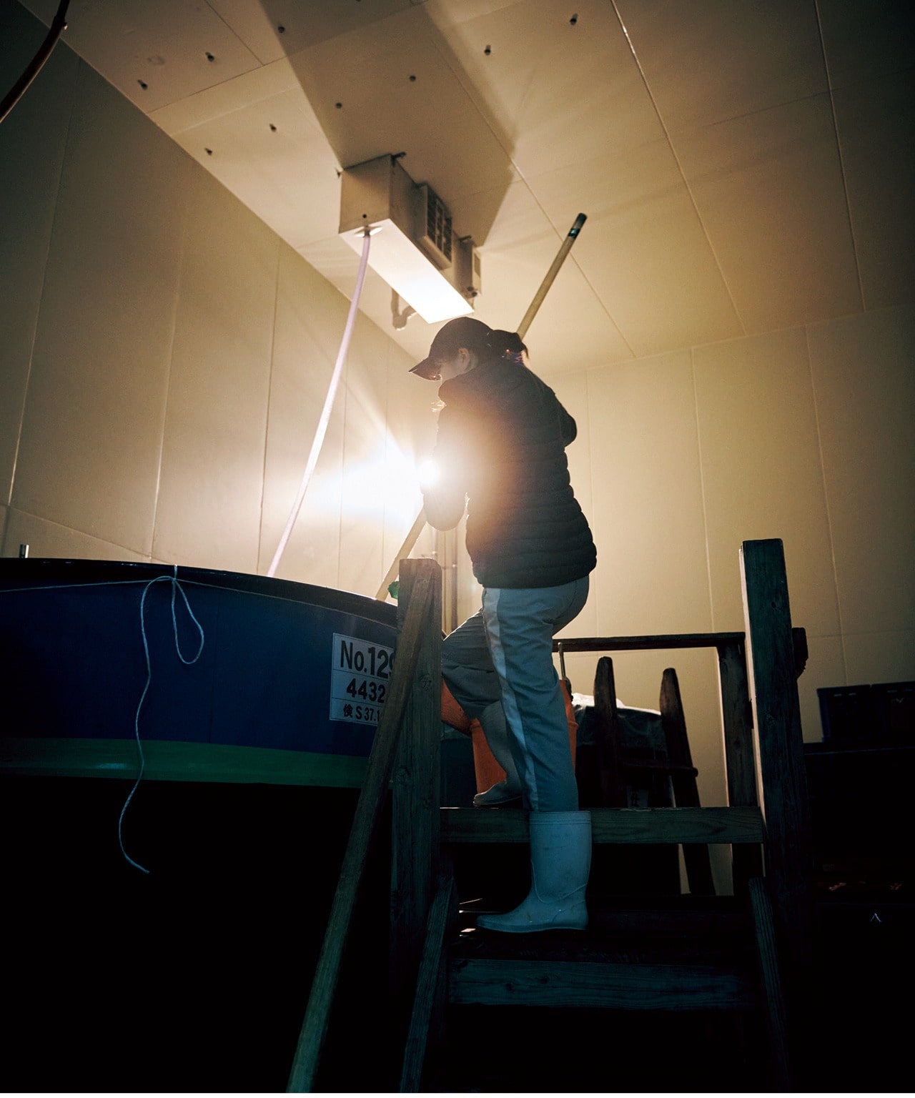 酒蔵で作業をする飯盛日奈子さん